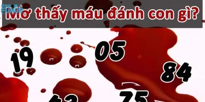 Điềm báo các trường hợp mơ về máu 