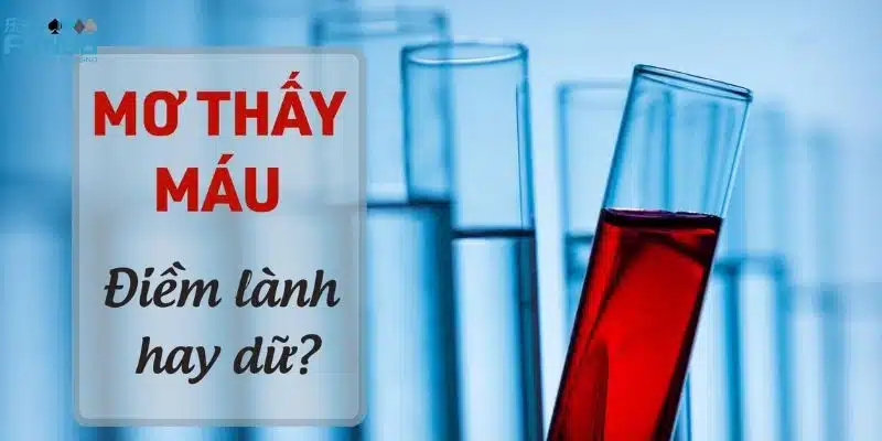 Con số lô đề nên đánh trong mơ thấy máu