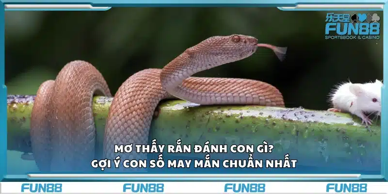 Mơ thấy rắn đánh con gì? Gợi ý con số may mắn chuẩn nhất